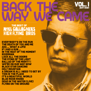 Noel Gallagher's High Flying Birds   Back The Way We Came Vol